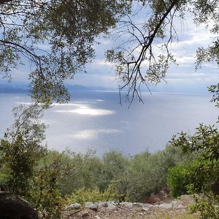 فيلا Rizes Sea View نساكيون المظهر الخارجي الصورة